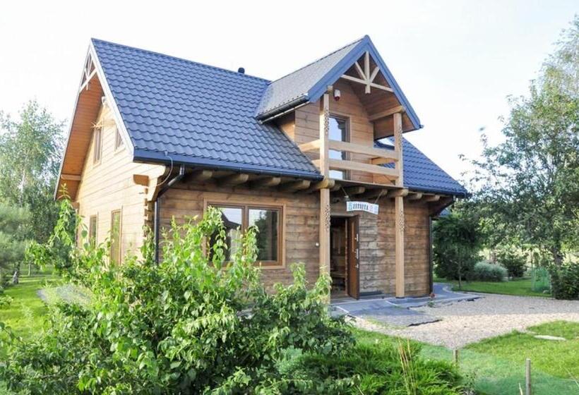 酒店 Agroturystyka Rogoznia