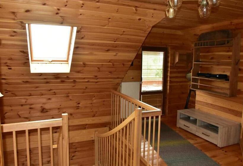 酒店 Agroturystyka Rogoznia