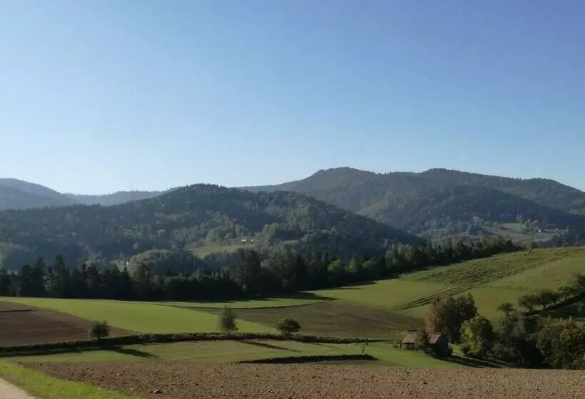 ホテル Agroturystyka Ryvilla