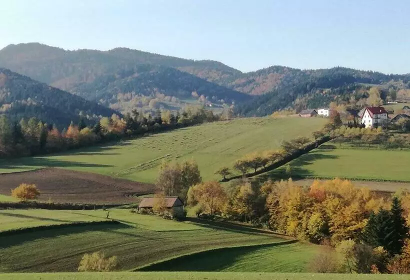 ホテル Agroturystyka Ryvilla