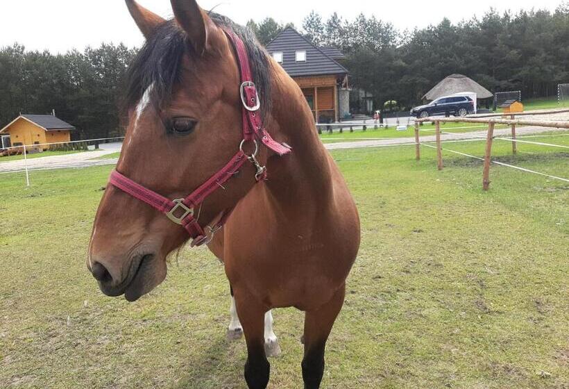 호텔 Agroturystyka Sabat