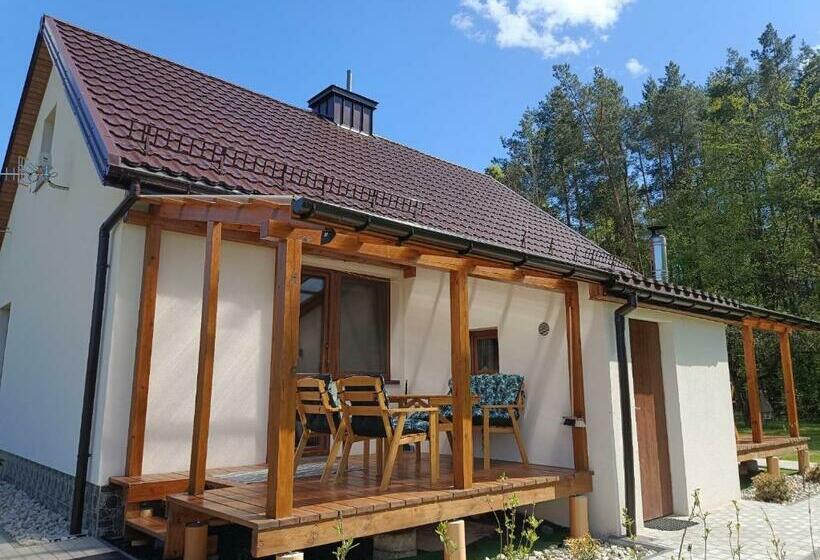 Отель Agroturystyka Sosnowy Gaik