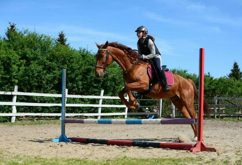 호텔 Agroturystyka Trzcinowy Zakątek