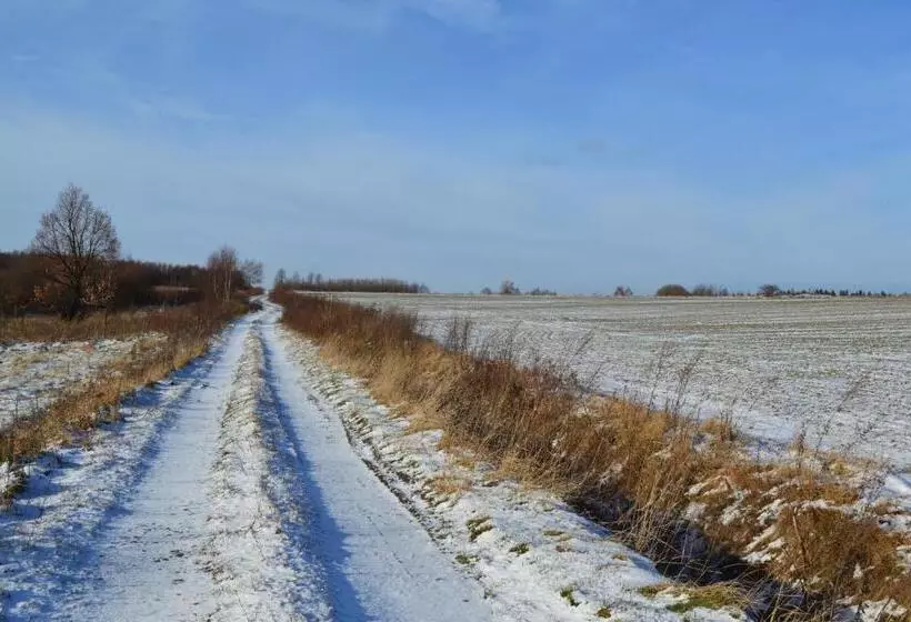 ホテル Gospodarstwo Agroturystyczne Chata Na Izerskim Wzgórzu