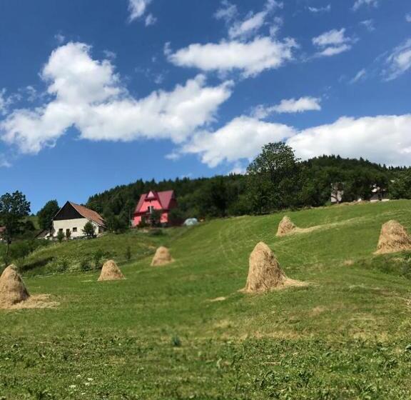 ホテル Malinowy Domek