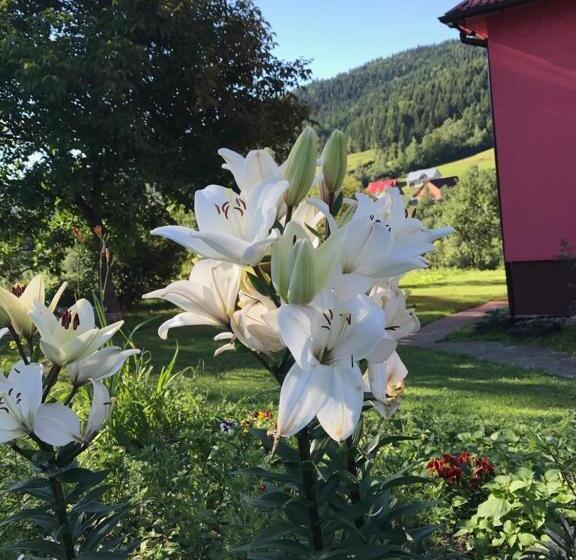 ホテル Malinowy Domek