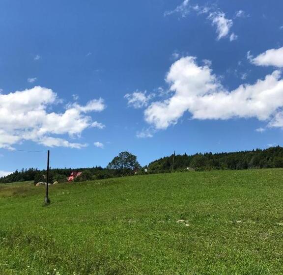 ホテル Malinowy Domek