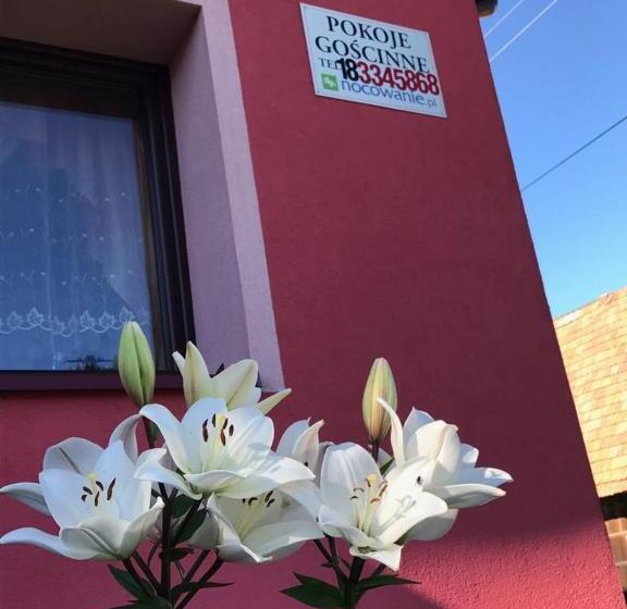 ホテル Malinowy Domek