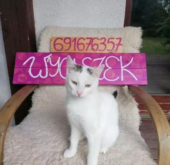 ホテル Wyciszek   Mazurska Agroturystyka