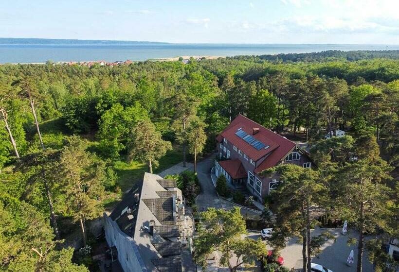 بنسيون Apollo   Domki, Apartamenty I Pokoje Z Klimatyzacją