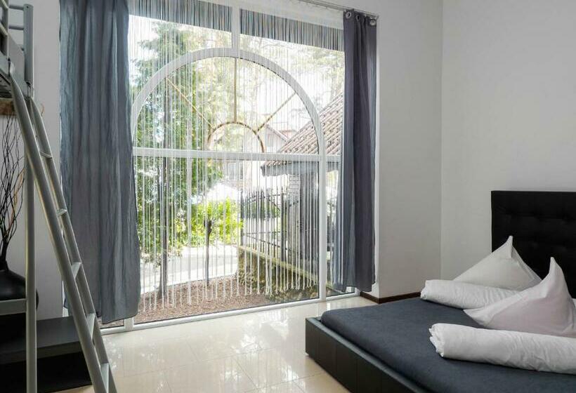 بنسيون Apollo   Domki, Apartamenty I Pokoje Z Klimatyzacją