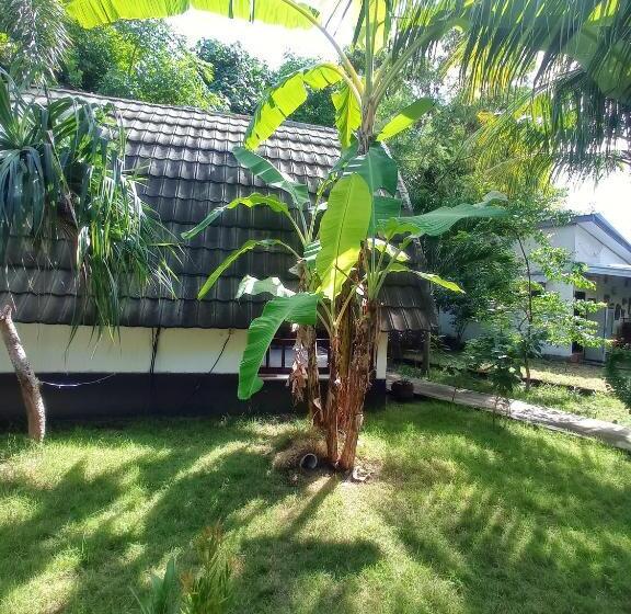 پانسیون Follow The Rabbit Bungalow