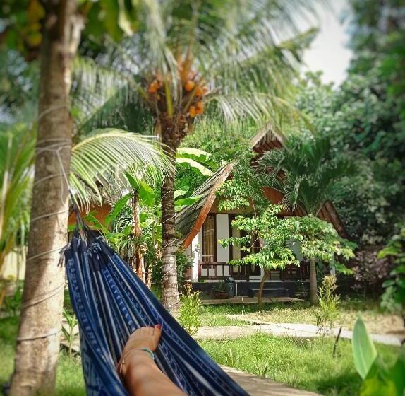 پانسیون Follow The Rabbit Bungalow