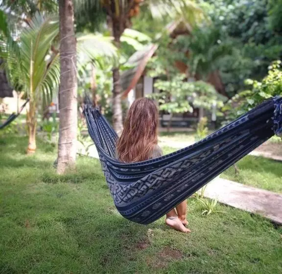 ペンション Follow The Rabbit Bungalow