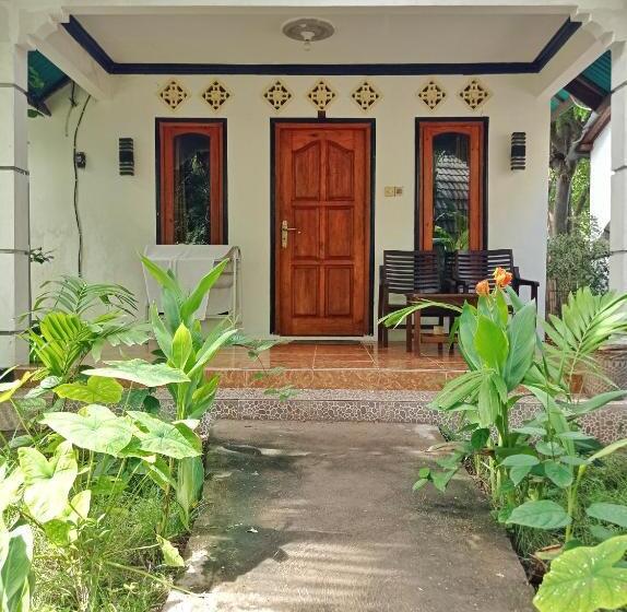 پانسیون Follow The Rabbit Bungalow