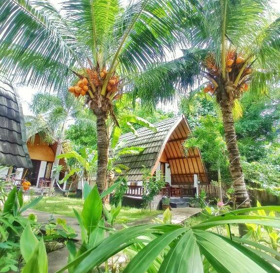 پانسیون Follow The Rabbit Bungalow