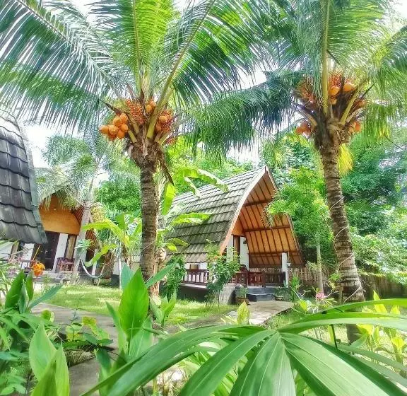 ペンション Follow The Rabbit Bungalow