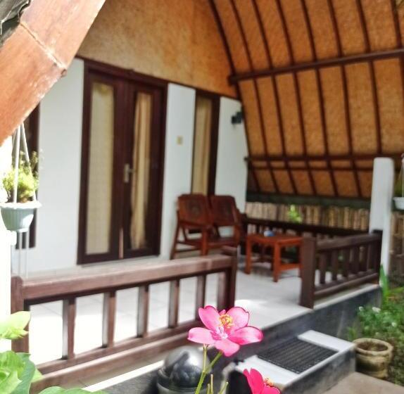 پانسیون Follow The Rabbit Bungalow