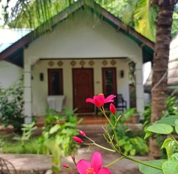 پانسیون Follow The Rabbit Bungalow