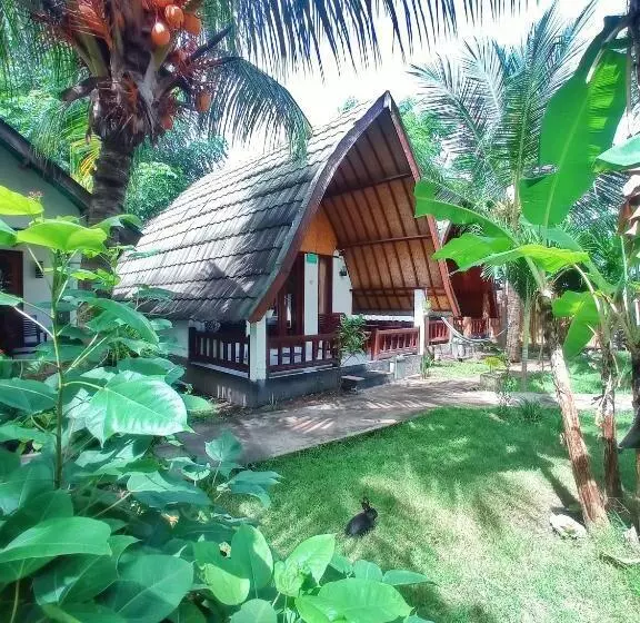 ペンション Follow The Rabbit Bungalow