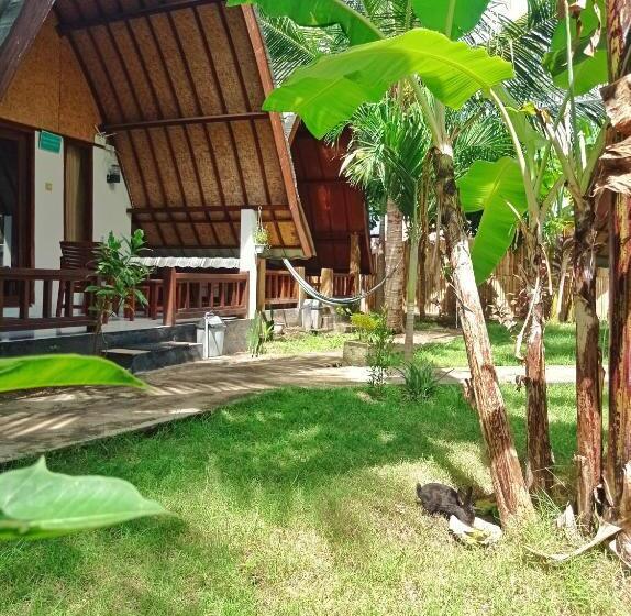 پانسیون Follow The Rabbit Bungalow