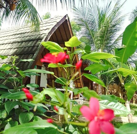 پانسیون Follow The Rabbit Bungalow