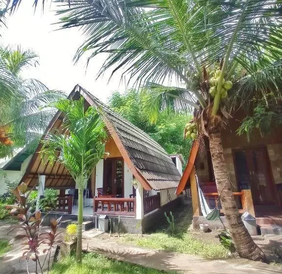 ペンション Follow The Rabbit Bungalow