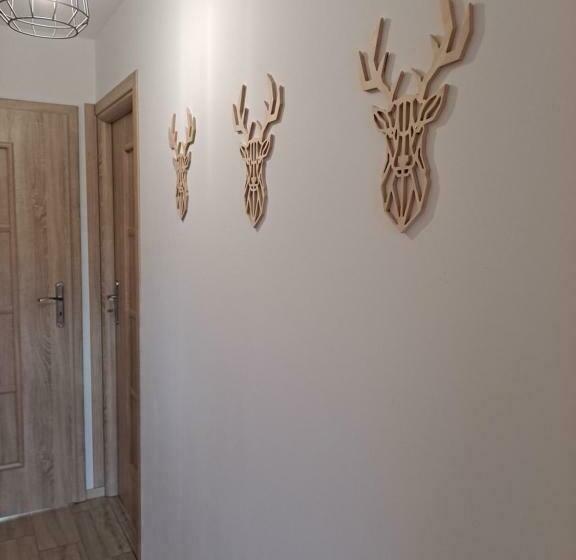 פנסיון Willa Ciupaga