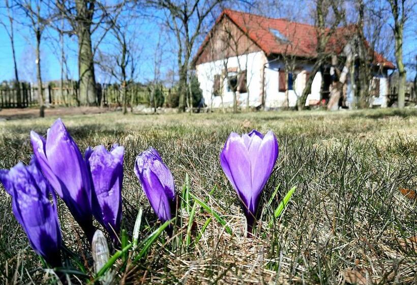 בית מלון כפרי Nasza Wioska