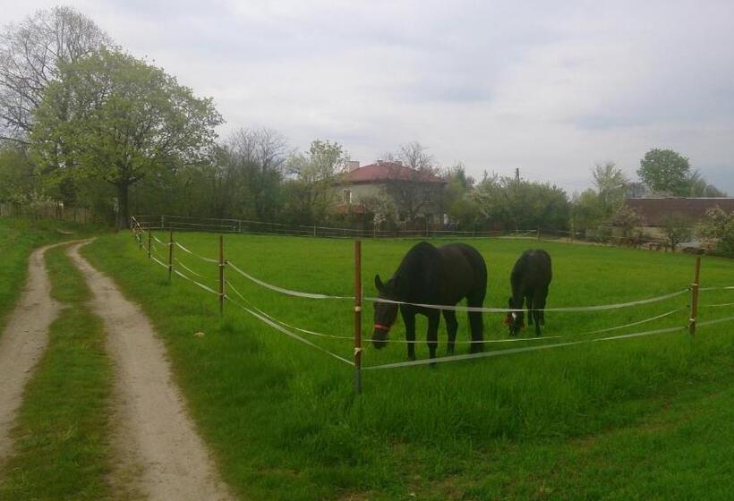בית מלון כפרי Nasza Wioska
