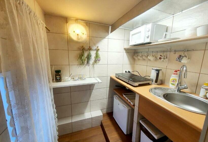 פנסיון Pałacyk Chojnów