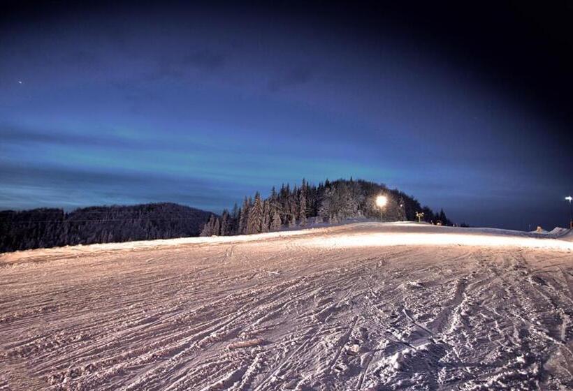 بنسيون Willa Monika