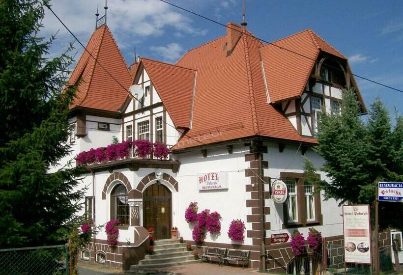 بنسيون Willa Pałacyk