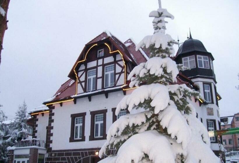 بنسيون Willa Pałacyk