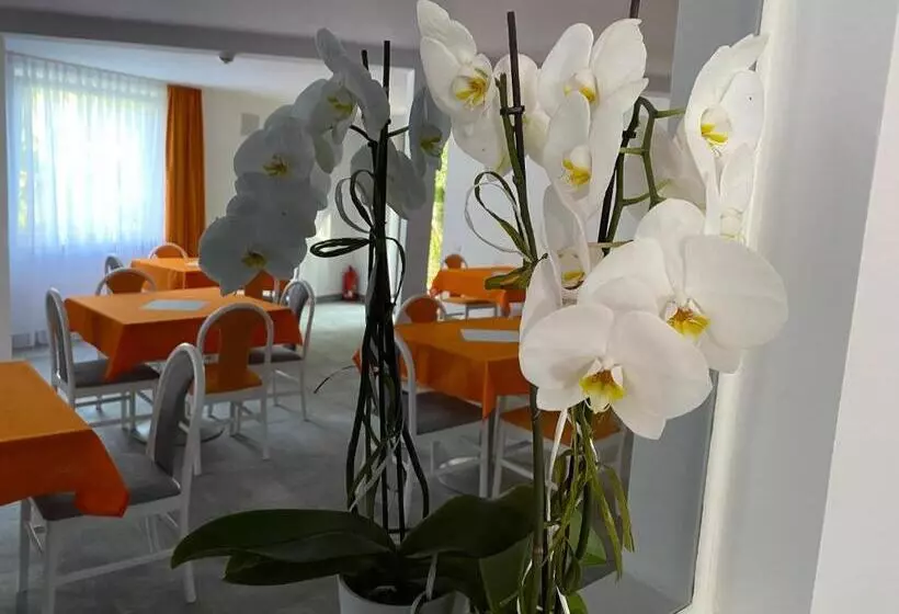 Majatalo Willa świetlana