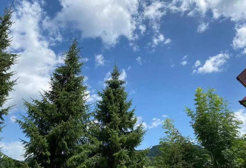 Majatalo Willa świetlana