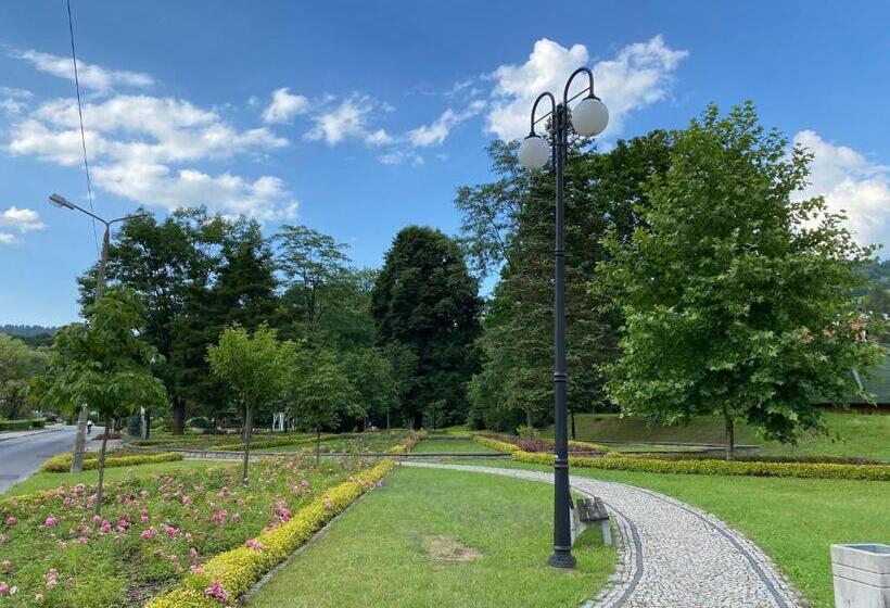 ペンション Willa świetlana