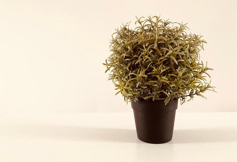 호스텔 Pokoje Gajowa