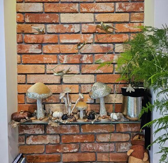 Altara Apartamenty Centrum   Free Parking