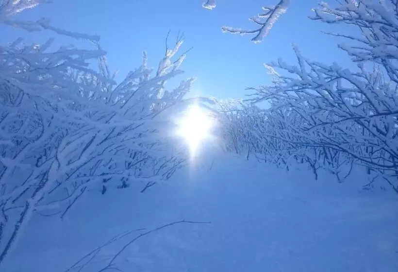 Aamiaismajoitus (B&B) Chata Z Bali Bukowina