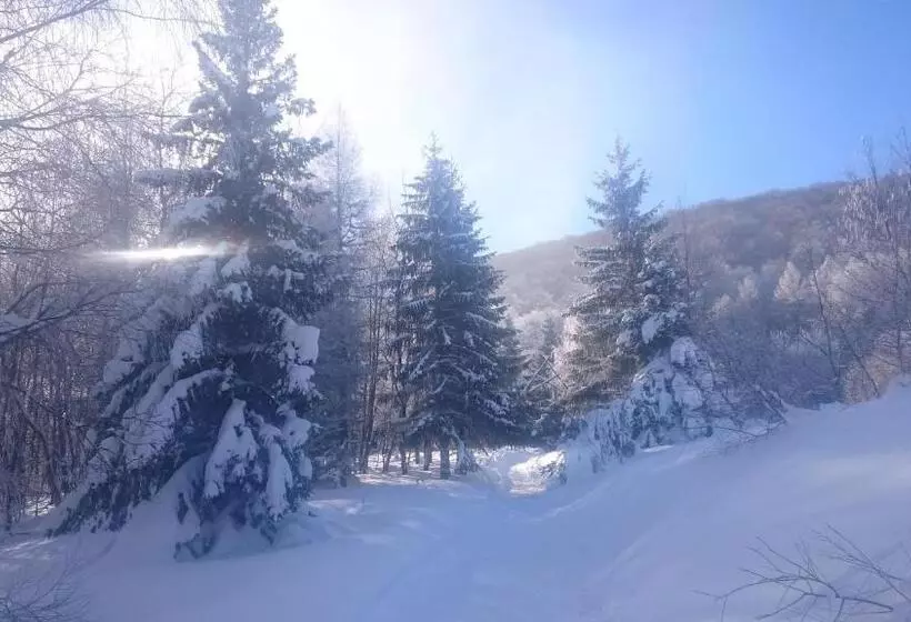 Aamiaismajoitus (B&B) Chata Z Bali Bukowina