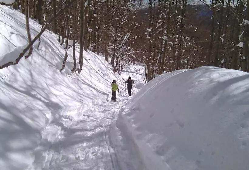 Aamiaismajoitus (B&B) Chata Z Bali Bukowina