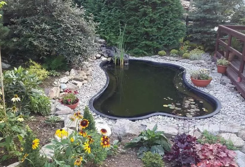 Aamiaismajoitus (B&B) Koliba