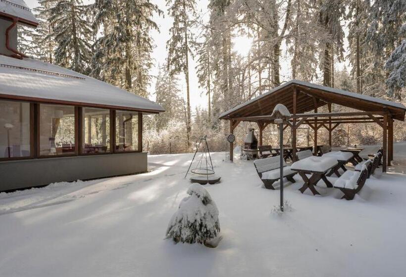 تختخواب و صبحانه Villa Obis