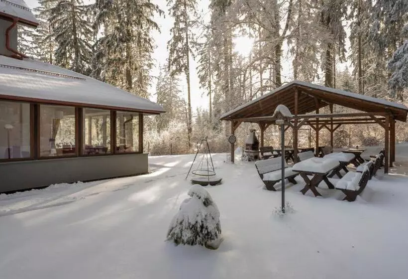 Aamiaismajoitus (B&B) Villa Obis