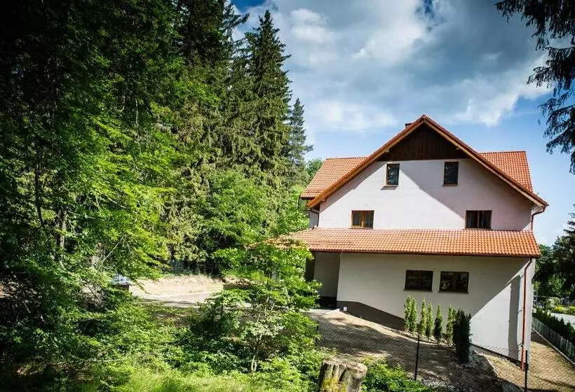 Aamiaismajoitus (B&B) Villa Obis