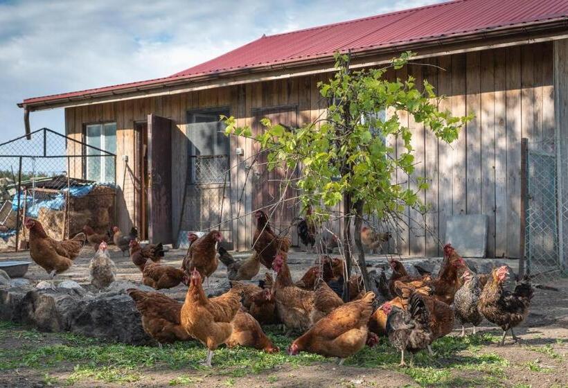 בית מלון כפרי Agroturystyka Gawryś Pokoje