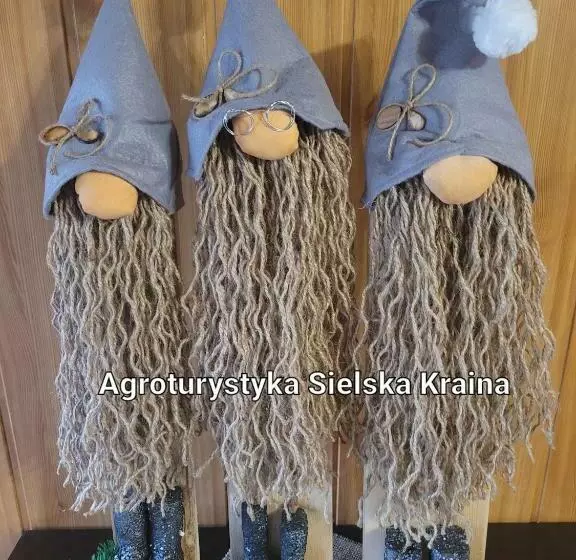 ホテル Agroturystyka Sielska Kraina