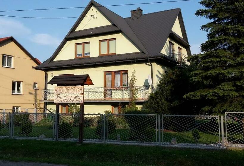 호텔 Agroturystyka U Robka