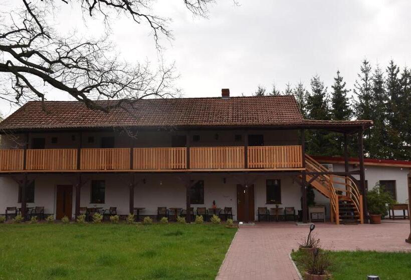 酒店 Gosciniec Pod Debem